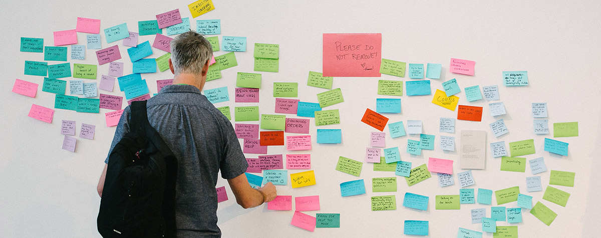 a person looking at post-it notes on the wall, capturing brainstorming during a community event
